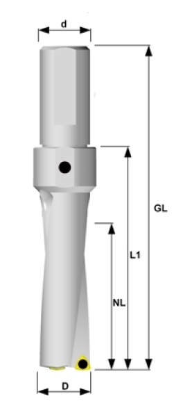 Wpl. Bohrer Ø 39,00 mm IK 3xD WCMX06T308