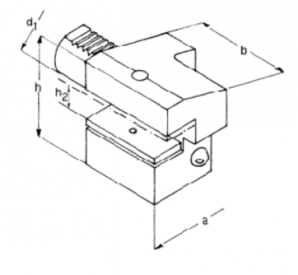 C4 Axial Werkzeughalter Überkopf links D 30x20x70